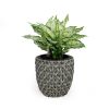 10.6" Self-watering Wicker Planter - Garden Decoration Pot - Gray - Round