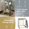 2-Tier Metal Square Side End Table with Removable Shelf