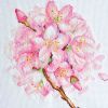 Pink Flower DIY Cross Stitch Stamped Kits Pre-Printed 11CT Embroidery Kits Wall Decor, 15x19 inch