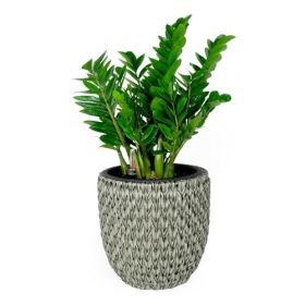 14.6" Self-watering Wicker Planter - Garden Decoration Pot - Gray - Round (Color: as Pic)